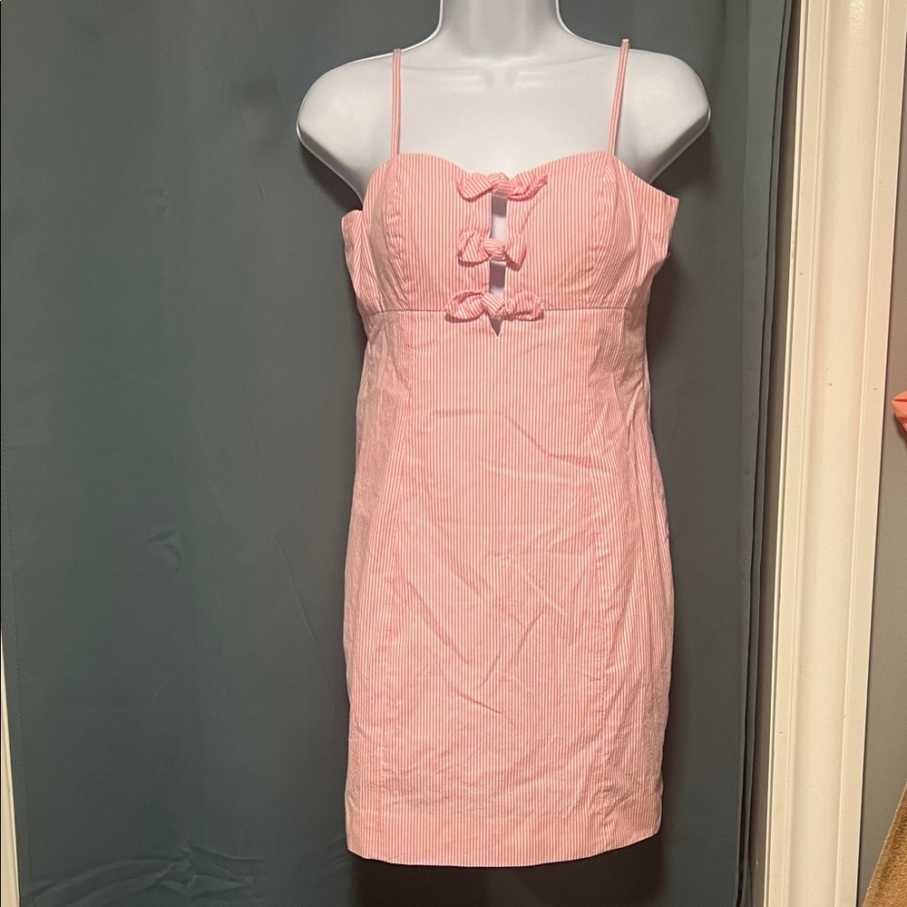Lilly Pulitzer Light Pink Dress
